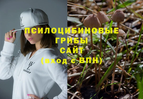 шишки Богородицк
