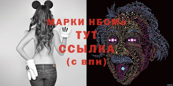 шишки Богородицк