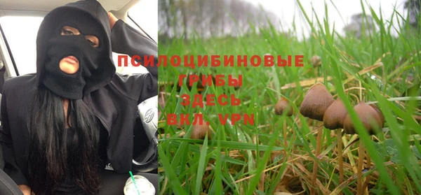 соль курить ск Богданович