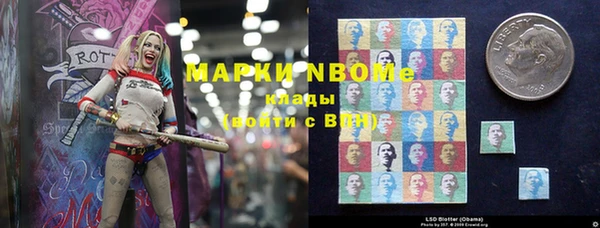 шишки Богородицк